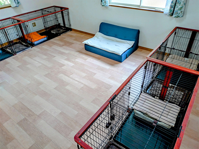 犬部屋