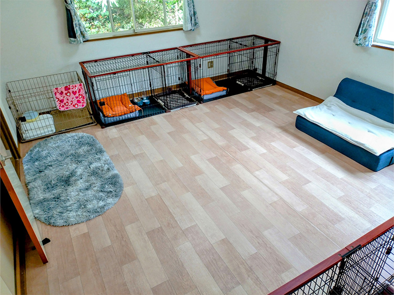 犬部屋